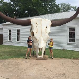 Meet your Posher, Taylor